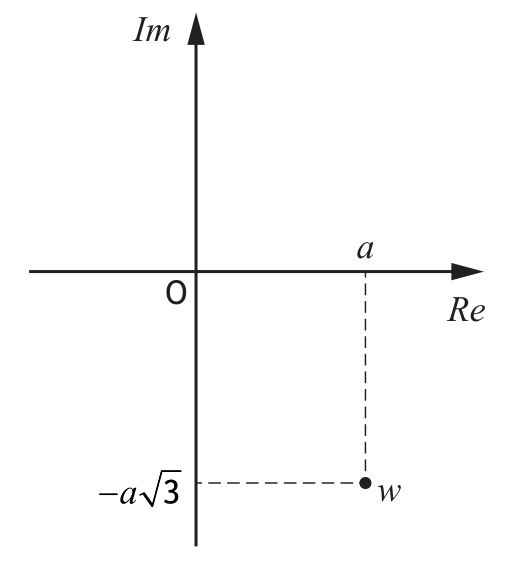Argand diagram showing complex number w