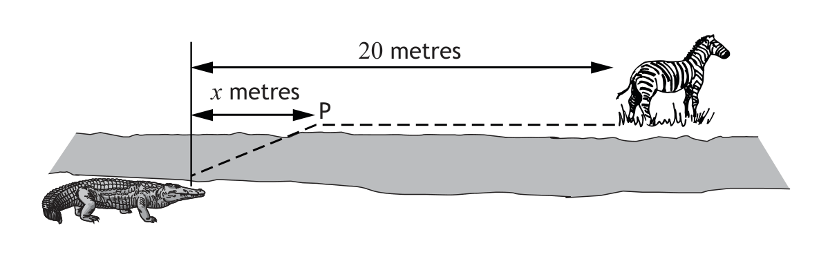 Crocodile stalking prey