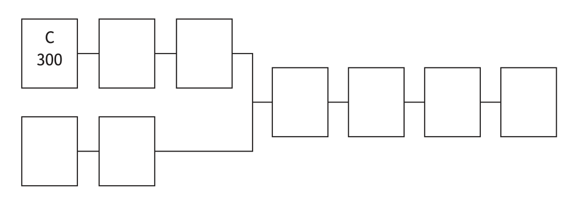 Precedence diagram structure