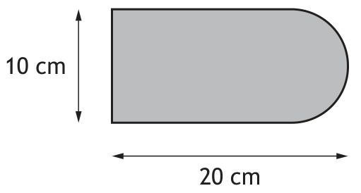Badge diagram with rectangle and semi-circle. Dimensions 10 cm height and 20 cm total width.