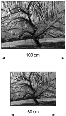 Two similar pictures with widths 100cm and 60cm